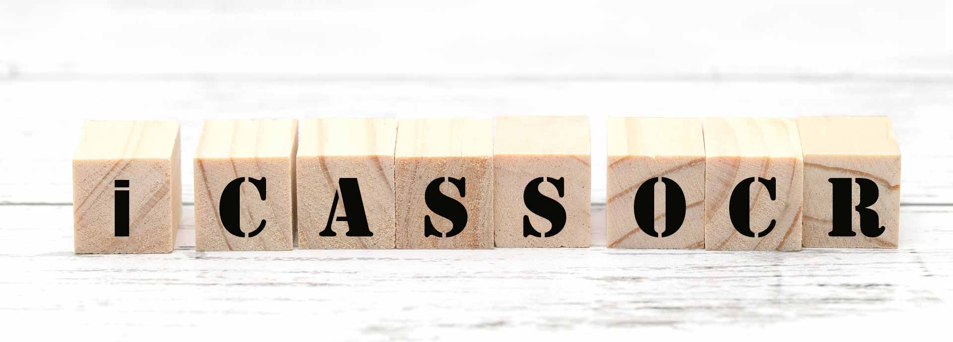 i-CASS OCR